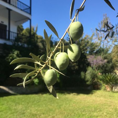 沃尔沃罗Nikos & Panagiota公寓 外观 照片